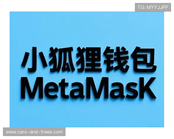 e尊app最新版本下载与安装步骤详解适合新手玩家快速上手使用e尊app的详细操作流程指南