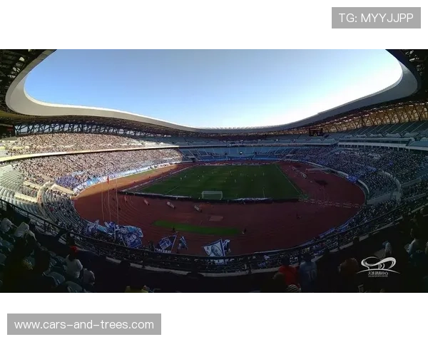 大连冠恒体育登录入口常见故障排查与技术支持，保障顺畅登录体验