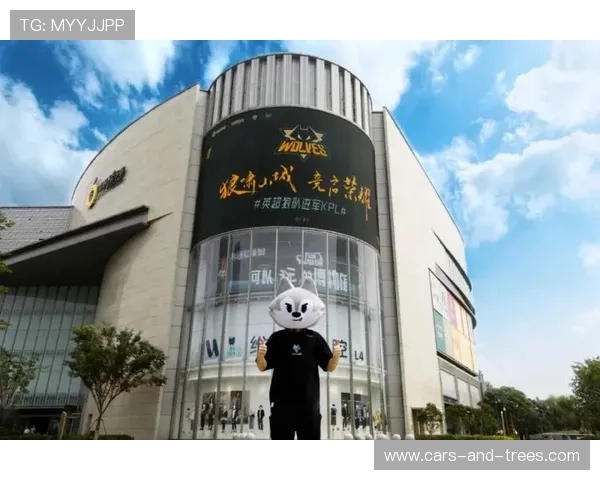 星空体育国际站开启全球体育市场新篇章，打造一站式体育服务生态体系