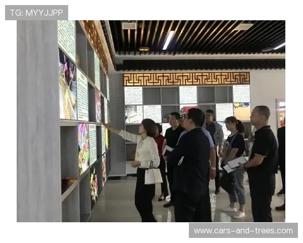 如何利用半岛综合体育资源促进区域体育产业升级