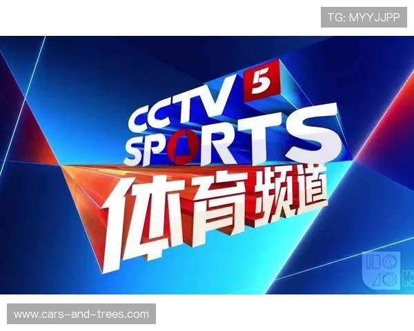 风云体育手机版支持离线缓存，让用户随时随地观看精彩体育内容