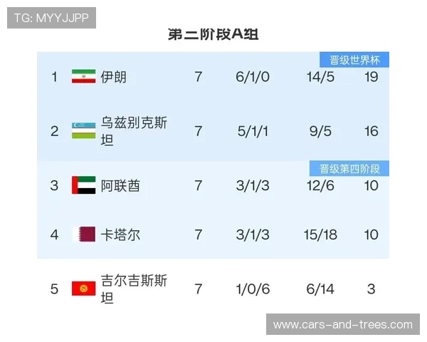 世界杯伊朗对新西兰比赛数据表完整版，涵盖控球率、射门数等核心指标