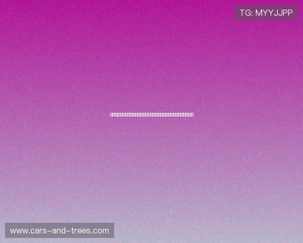 世界杯西班牙对佛得角比赛现场门票购买指南，帮助球迷轻松安排观赛行程