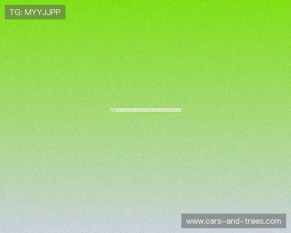 AG亚游棋牌用户评价与口碑分析了解真实玩家的使用体验与反馈